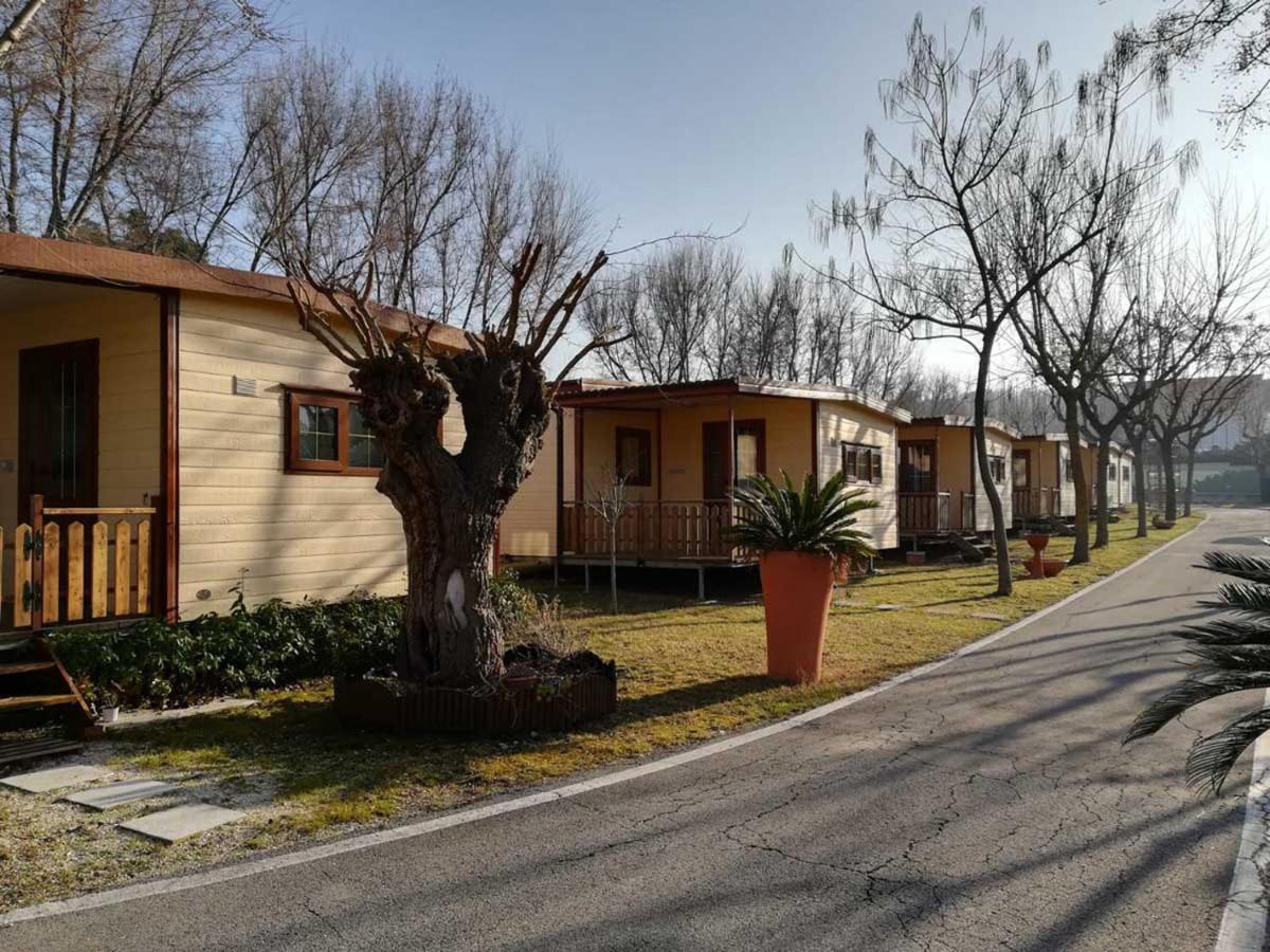 Hotel L'Oasi Di Lulu' Senigallia Zewnętrze zdjęcie