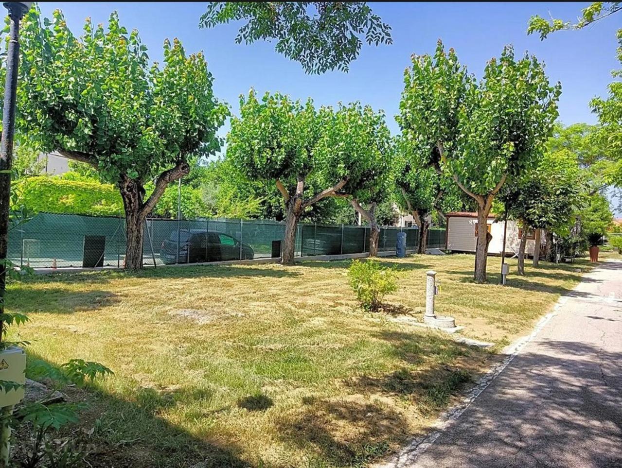 Hotel L'Oasi Di Lulu' Senigallia Zewnętrze zdjęcie